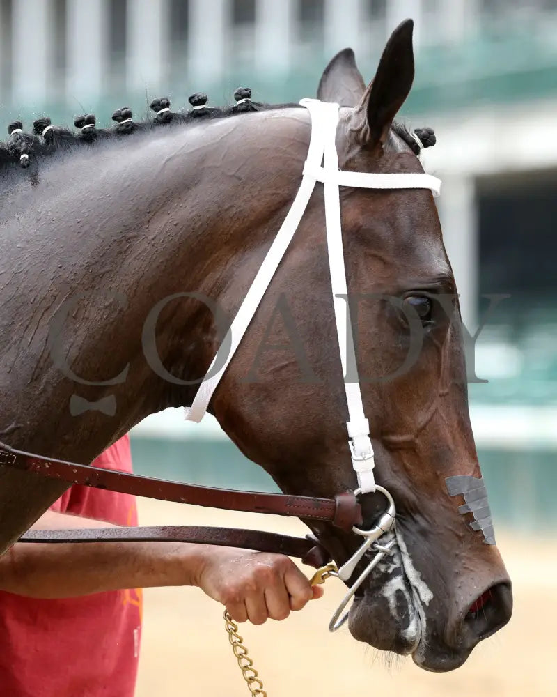 Cazadero - The Bashford Manor G3 119Th Running 06-27-20 R08 Cd Post Race 01 Churchill Downs