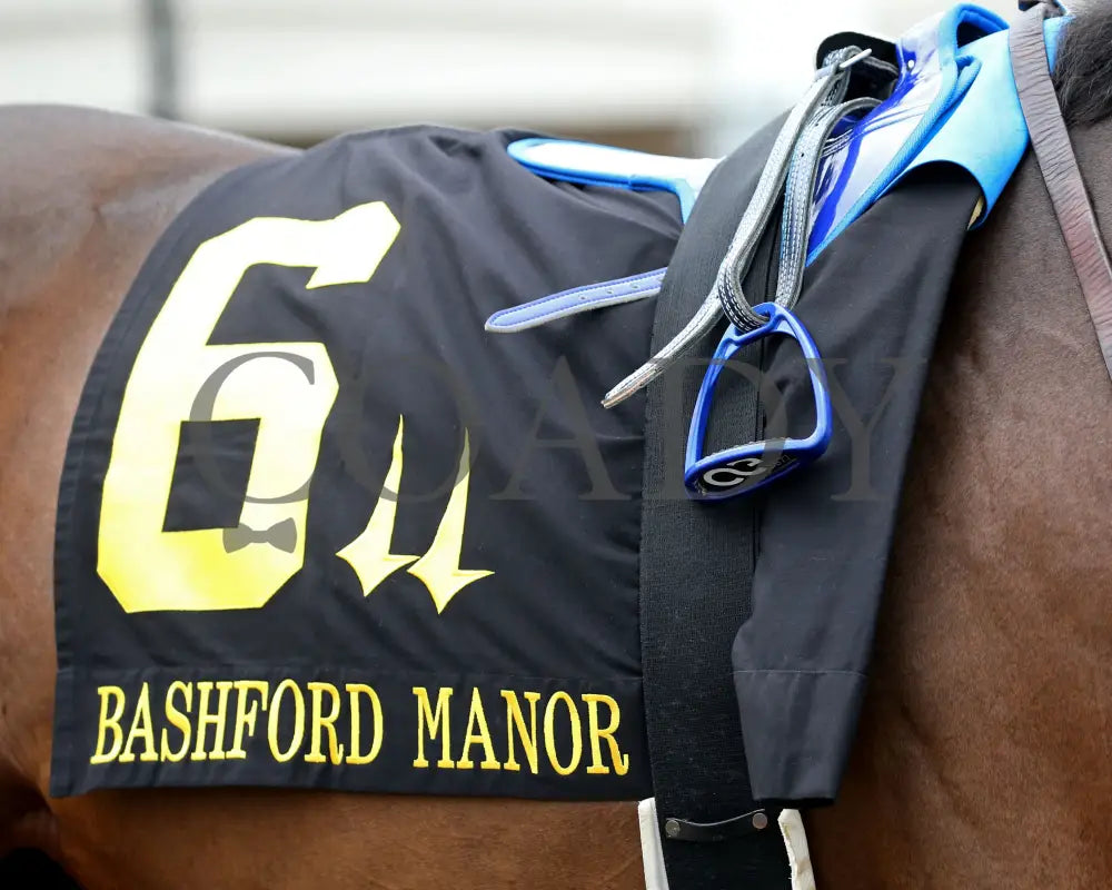 Cazadero - The Bashford Manor G3 119Th Running 06-27-20 R08 Cd Saddle Towel 01 Churchill Downs