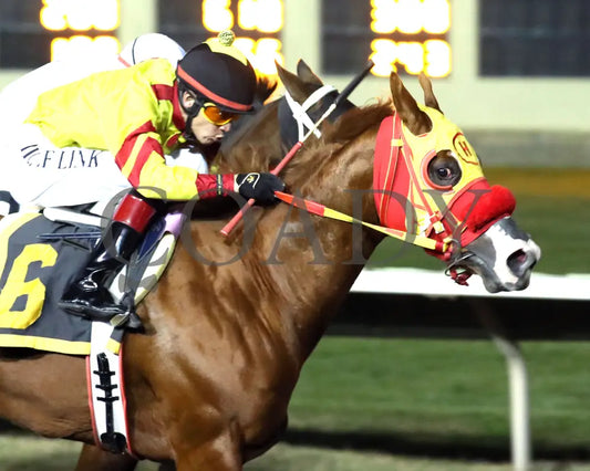 CD FAVORITE LADY - The Downs Fall Quarter Horse Distaff - 10-18-25 - R04 - ALB Downs at Albuquerque