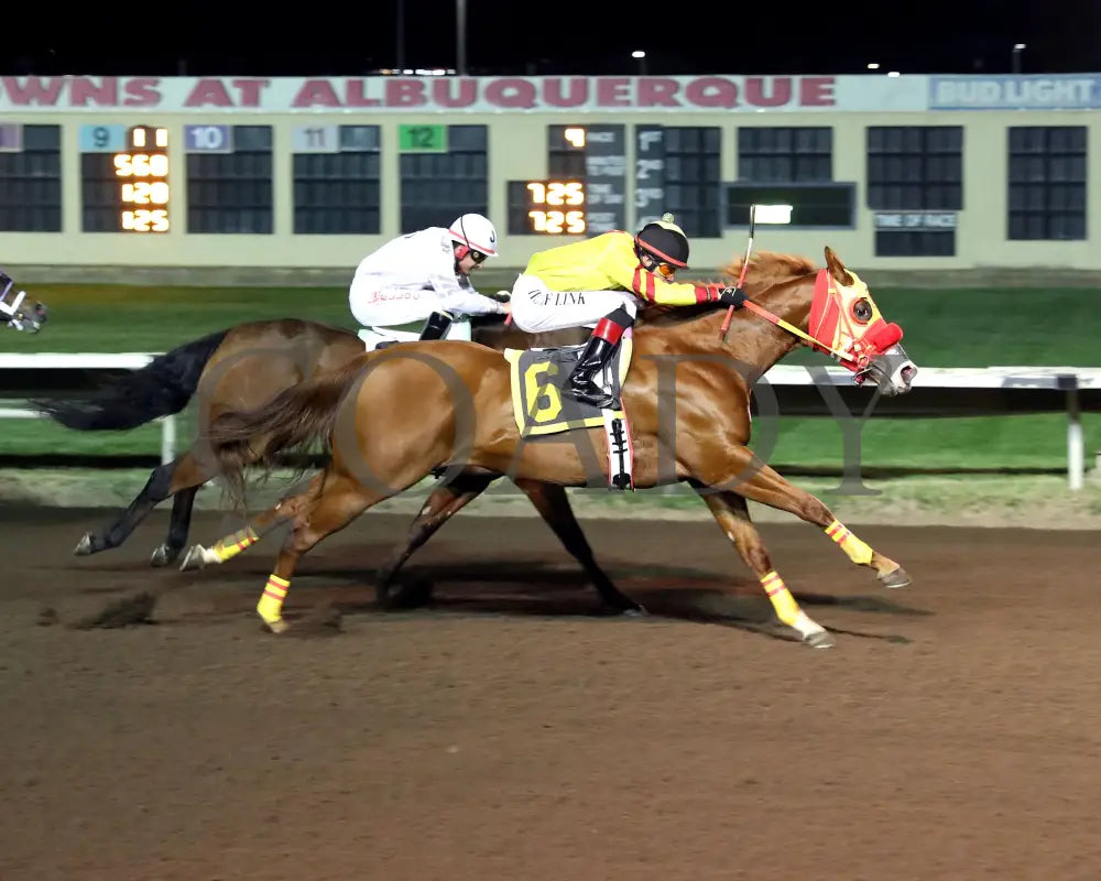 CD FAVORITE LADY - The Downs Fall Quarter Horse Distaff - 10-18-25 - R04 - The Downs at Albuquerque - Aerial Finish 01