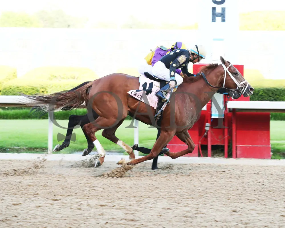 Ce - Apple Blossom G1 56Th Running 04-18-20 R10 Op Finish 01 Oaklawn Park
