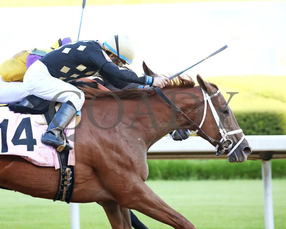 Ce - Apple Blossom G1 56Th Running 04-18-20 R10 Op Tight Finish 02 Oaklawn Park