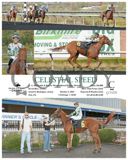 CELESTIAL SPEED - 10-06-25 - R03 - PID Presque Isle Downs