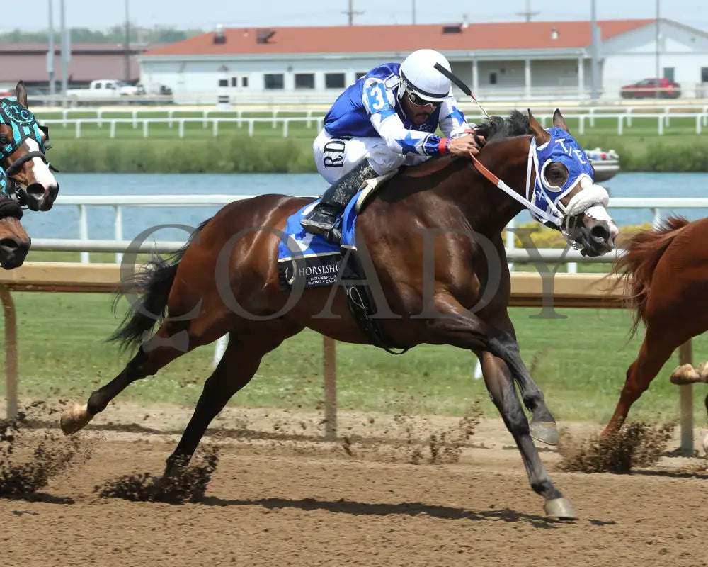 CELTIC CARTEL - Maiden Stakes Final - 05-31-25 - R09 - Horseshoe Indiana - Finish 02 - Eli Davis Indiana Grand