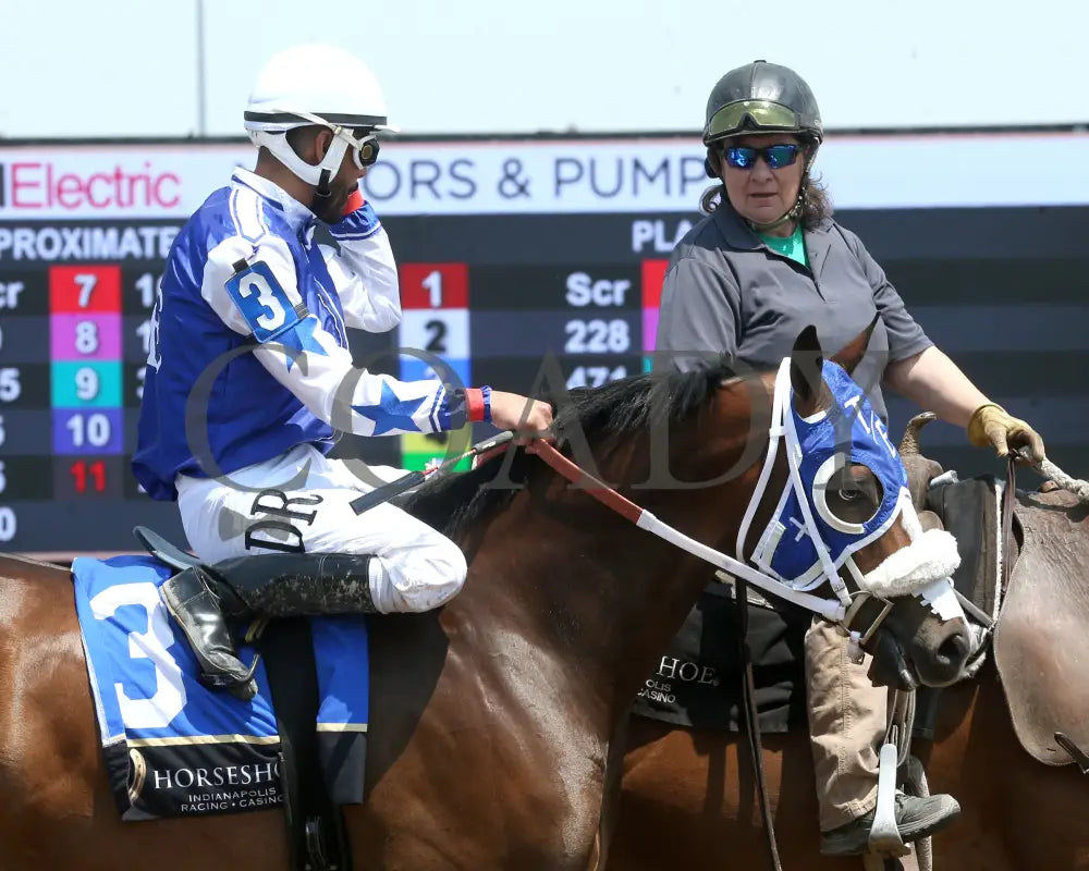 CELTIC CARTEL - Maiden Stakes Final - 05-31-25 - R09 - Horseshoe Indiana - Post Parade 01 - Sammantha Pagels Indiana