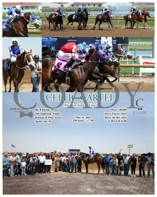 CELTIC CARTEL - Maiden Stakes Final - 05-31-25 - R09 - IND Indiana Grand
