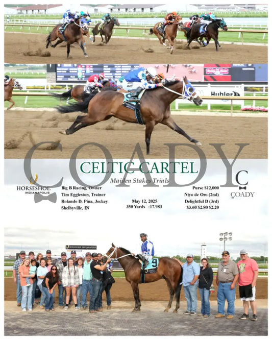 CELTIC CARTEL - Maiden Stakes Trials - 05-12-25 - R09 - IND Indiana Grand