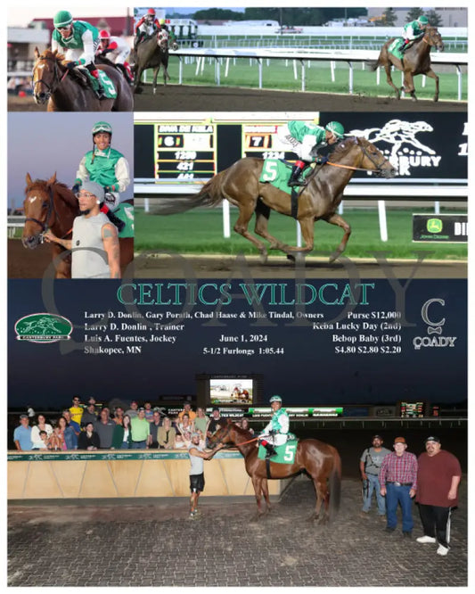 Celtics Wildcat - 06-01-24 R08 Cby Canterbury Park