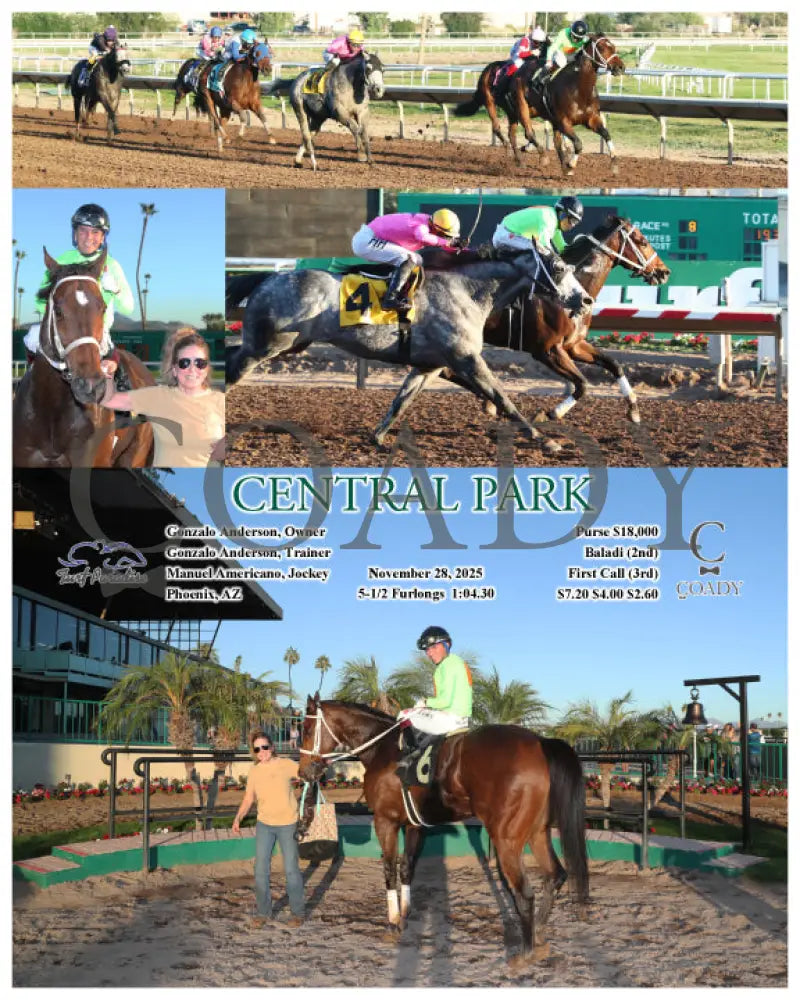 CENTRAL PARK - 11-28-25 - R08 - TUP Turf Paradise