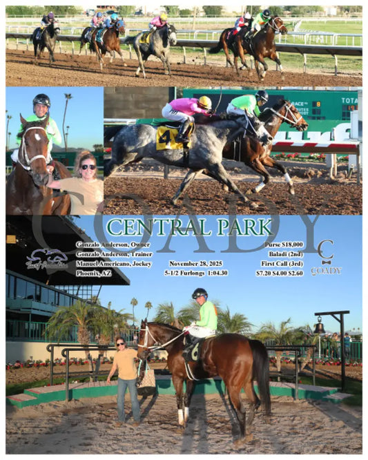 CENTRAL PARK - 11-28-25 - R08 - TUP Turf Paradise