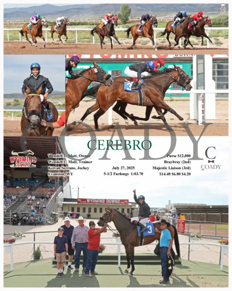 CEREBRO - 07-27-25 - R10 - WYO Wyoming Downs