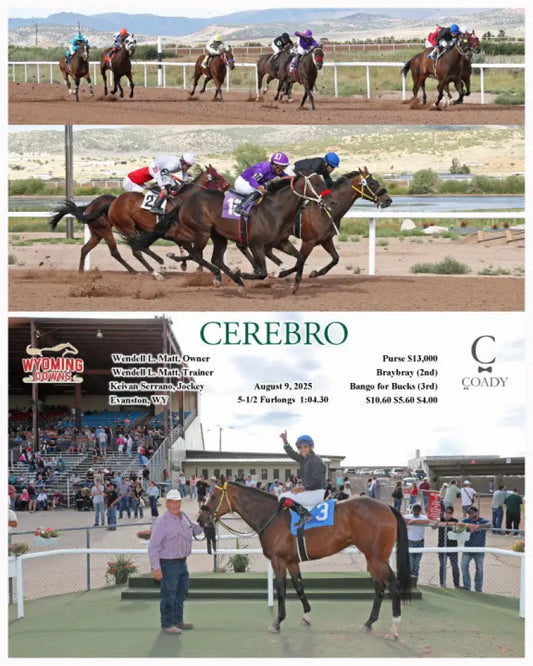 CEREBRO - 08-09-25 - R10 - WYO Wyoming Downs