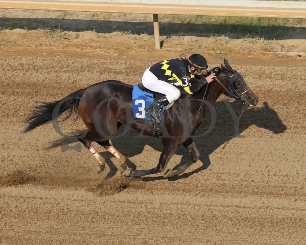 CHAMPANGE PROBLEMS - 081218 - Race 09 - ELP - Aerial Finish 01 - Coady Media - Kurtis Coady Photography