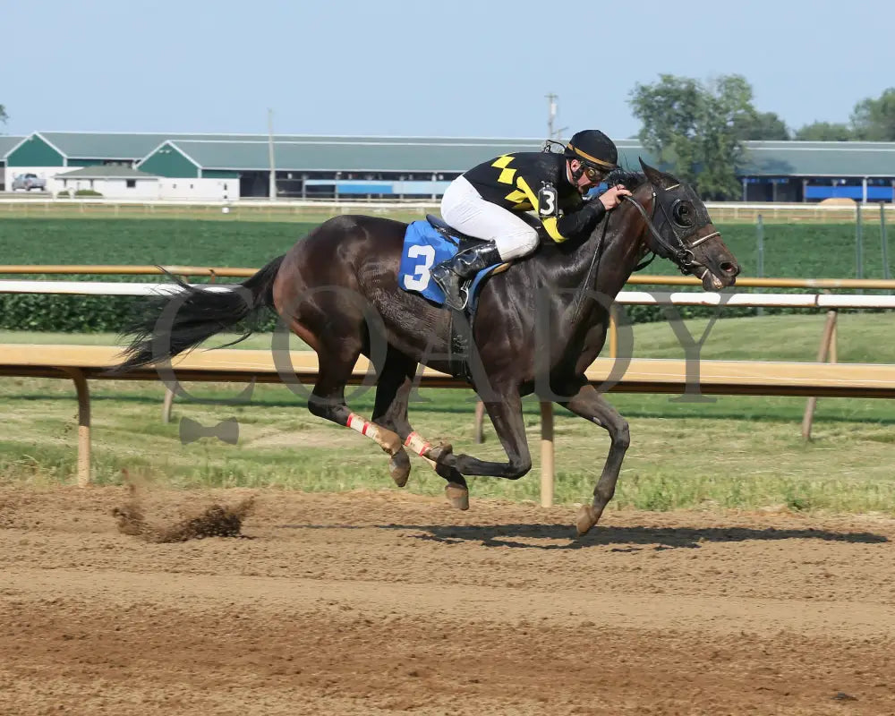 Champange Problems - 081218 Race 09 Elp Finish 01 Ellis Park