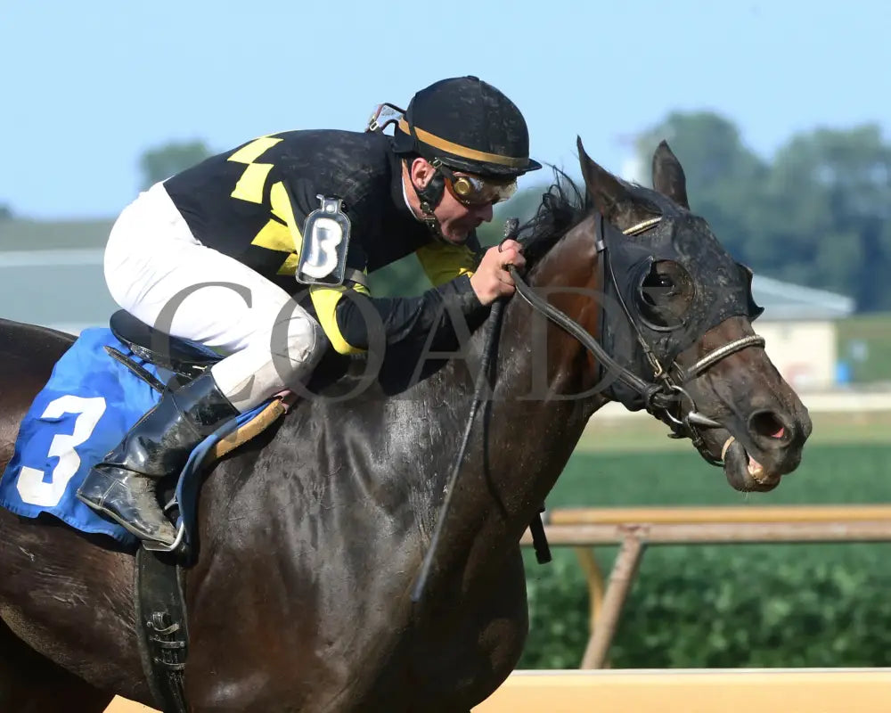 Champange Problems - 081218 Race 09 Elp Finish 02 Ellis Park