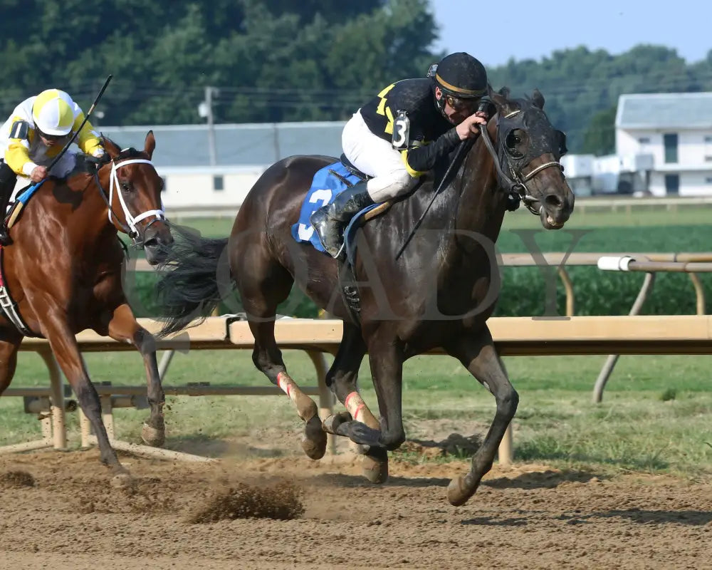 Champange Problems - 081218 Race 09 Elp Finish 03 Ellis Park