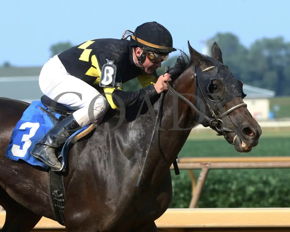 CHAMPANGE PROBLEMS - 081218 - Race 09 - ELP - Finish 04 - Coady Media - Kurtis Coady Photography