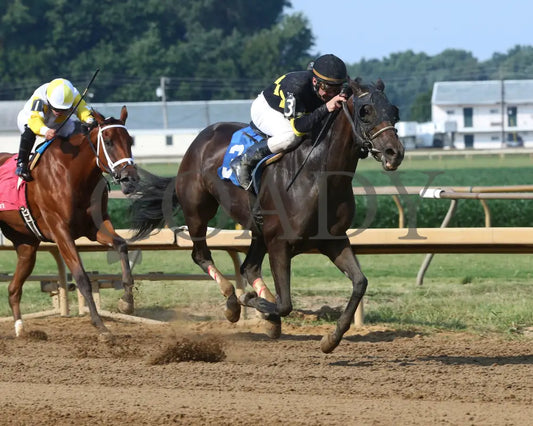 CHAMPANGE PROBLEMS - 081218 - Race 09 - ELP - Finish 05 - Coady Media - Kurtis Coady Photography