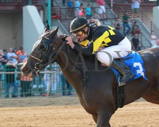 CHAMPANGE PROBLEMS - 081218 - Race 09 - ELP - Inside Finish 01 - Coady Media - Kurtis Coady Photography
