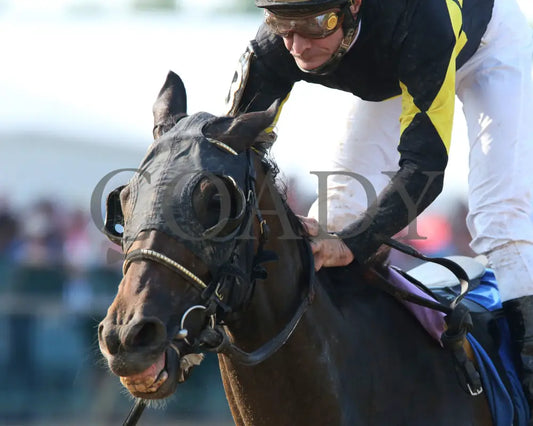 Champange Problems - 081218 Race 09 Elp Inside Finish 04 Ellis Park