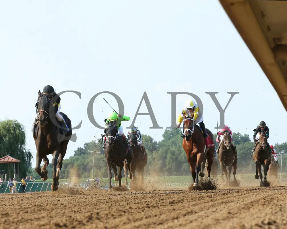 Champange Problems - 081218 Race 09 Elp Under Rail 01 Ellis Park