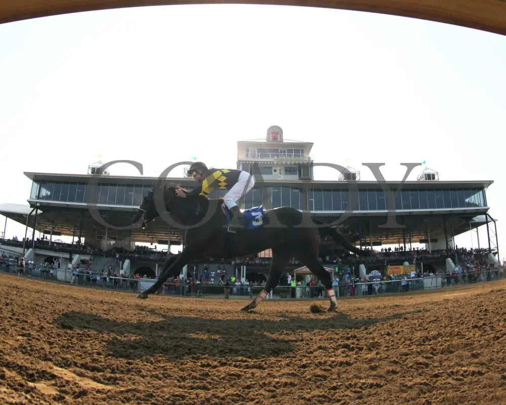 CHAMPANGE PROBLEMS - 081218 - Race 09 - ELP - Under Rail 02 - Coady Media - Kurtis Coady Photography