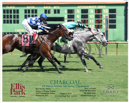 Charcoal - Ky Downs Preview Turf Spring 7Th Running 08-04-24 R07 Elp Action Ellis Park
