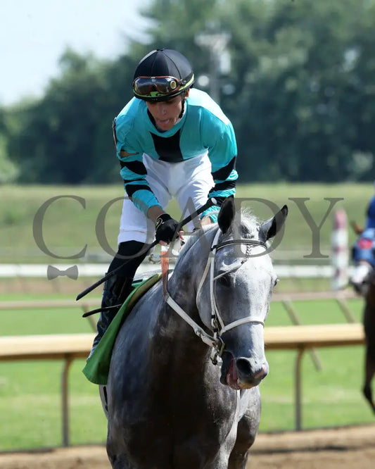 Charcoal - Ky Downs Preview Turf Spring 7Th Running 08-04-24 R07 Elp Come Back 01 Ellis Park
