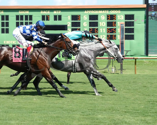Charcoal - Ky Downs Preview Turf Spring 7Th Running 08-04-24 R07 Elp Finish 01 Ellis Park