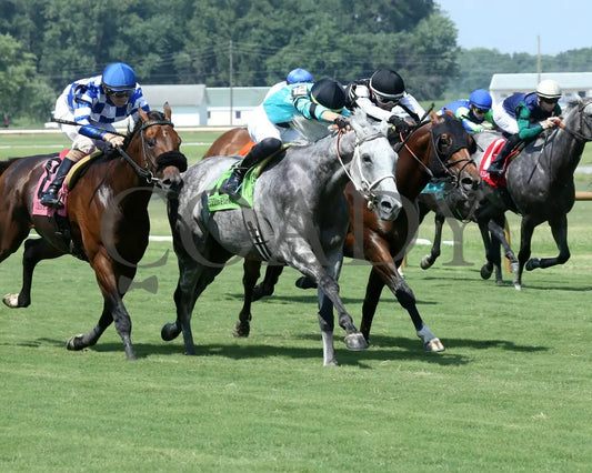 Charcoal - Ky Downs Preview Turf Spring 7Th Running 08-04-24 R07 Elp Finish 02 Ellis Park