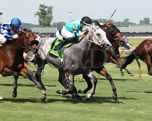 Charcoal - Ky Downs Preview Turf Spring 7Th Running 08-04-24 R07 Elp Finish 03 Ellis Park
