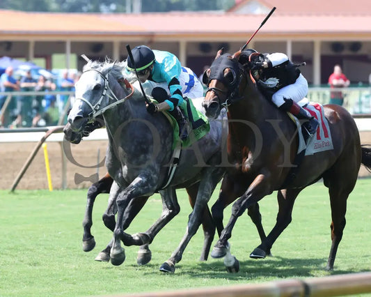 Charcoal - Ky Downs Preview Turf Spring 7Th Running 08-04-24 R07 Elp Inside Finish 01 Ellis Park