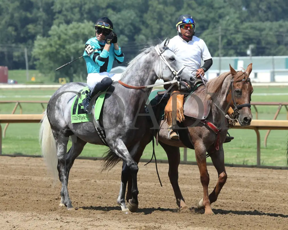 Charcoal - Ky Downs Preview Turf Spring 7Th Running 08-04-24 R07 Elp Post Parade 01 Ellis Park