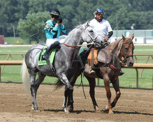 Charcoal - Ky Downs Preview Turf Spring 7Th Running 08-04-24 R07 Elp Post Parade 01 Ellis Park