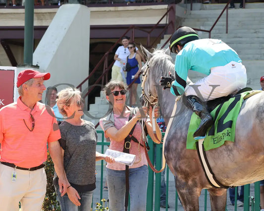 Charcoal - Ky Downs Preview Turf Spring 7Th Running 08-04-24 R07 Elp Win Circle 01 Ellis Park