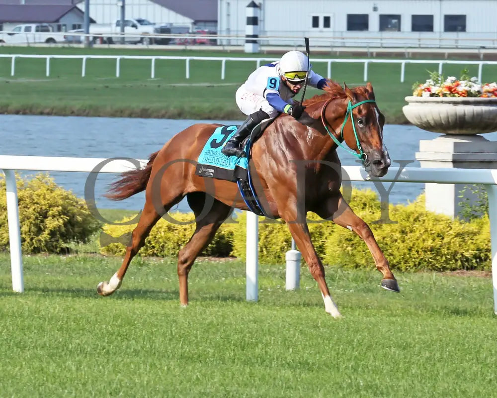 Charlene’s Dream - Horseshoe Indianapolis 15Th Running 07-13-24 R04 Indiana Finish 02 Sammantha