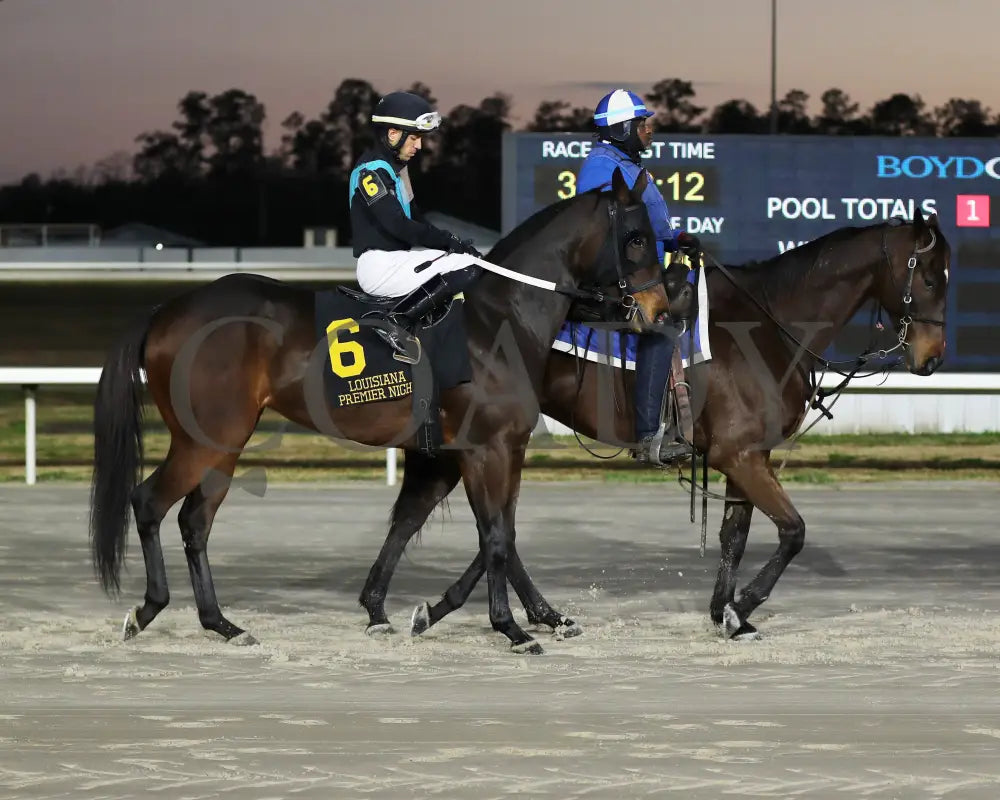 Charlie T - The 20Th Running Of The La Bred Premier Matron 02-03-24 R03 Delta Downs Post Parade