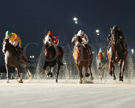 Charlie T - The 20Th Running Of The La Bred Premier Matron 02-03-24 R03 Delta Downs Under Rail
