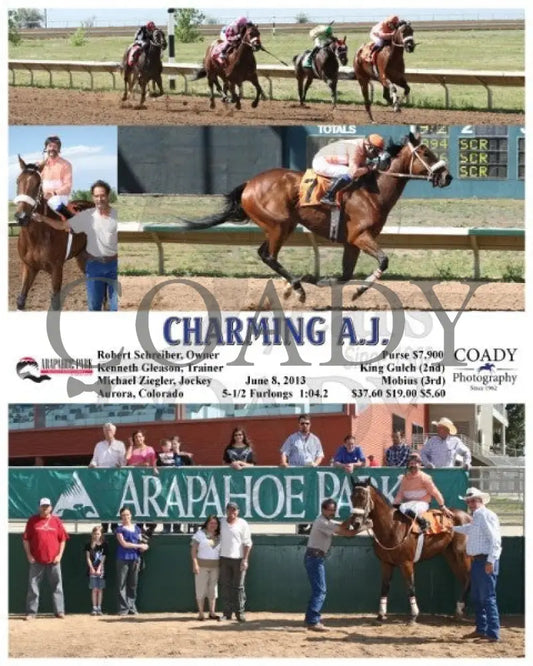 Charming A.j. - 060813 Race 09 Arp Arapahoe Park