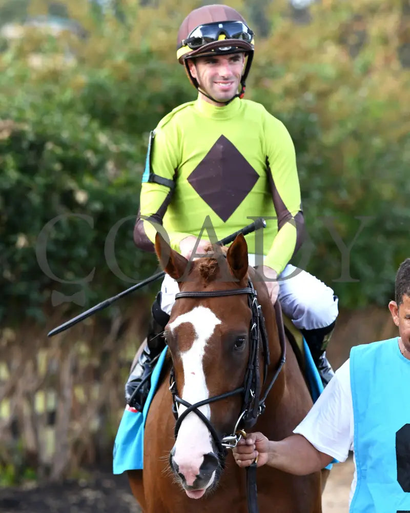 Chasing Liberty - The National Thoroughbred League Juvenile Sprint 09-01-24 R10 Kd Paddock 01