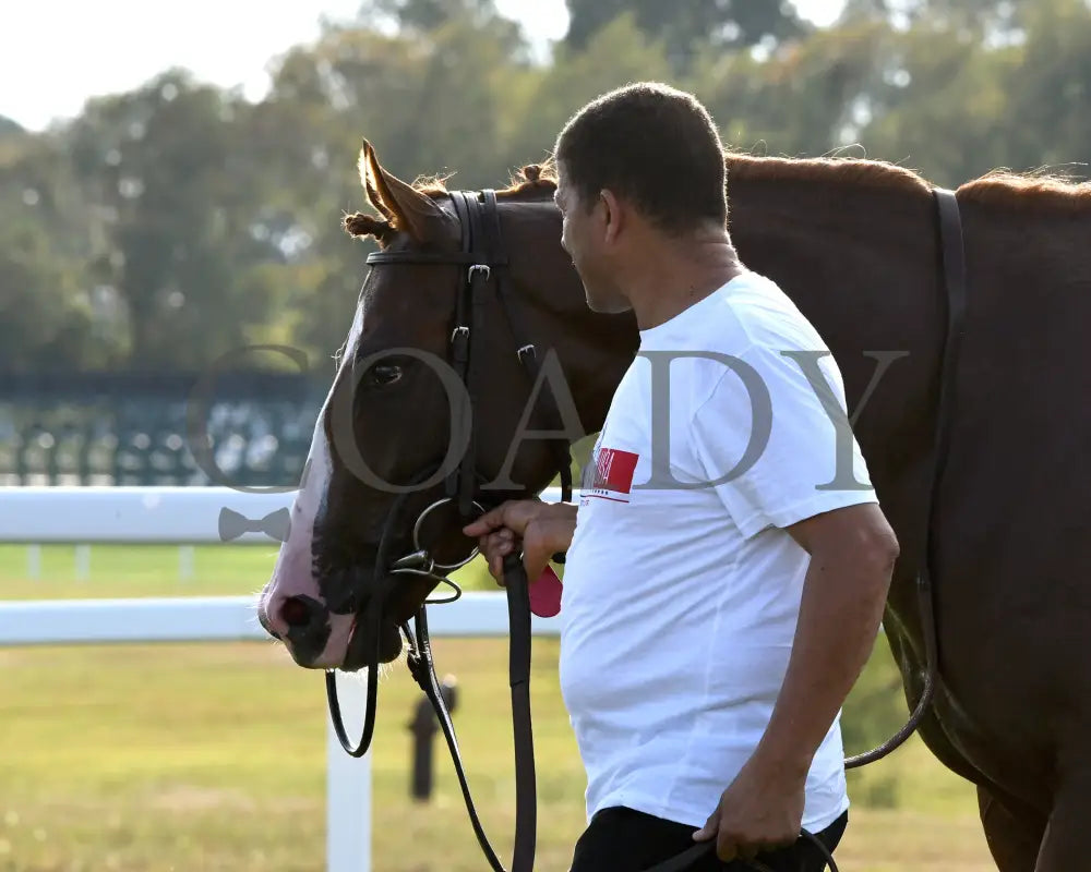 Chasing Liberty - The National Thoroughbred League Juvenile Sprint 09-01-24 R10 Kd Post Race 03