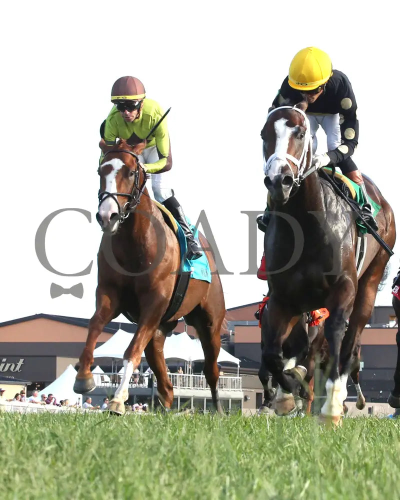 Chasing Liberty - The National Thoroughbred League Juvenile Sprint 09-01-24 R10 Kd Under Rail 02