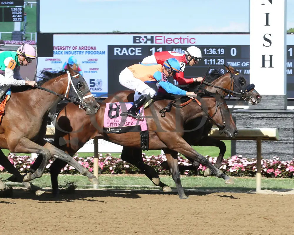 Chatalas - Indiana Oaks 29Th Running G3 07-06-24 R11 Horseshoe Finish 01 Samantha Pagels Grand