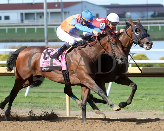 Chatalas - Indiana Oaks 29Th Running G3 07-06-24 R11 Horseshoe Finish 02 Renee Torbit Grand