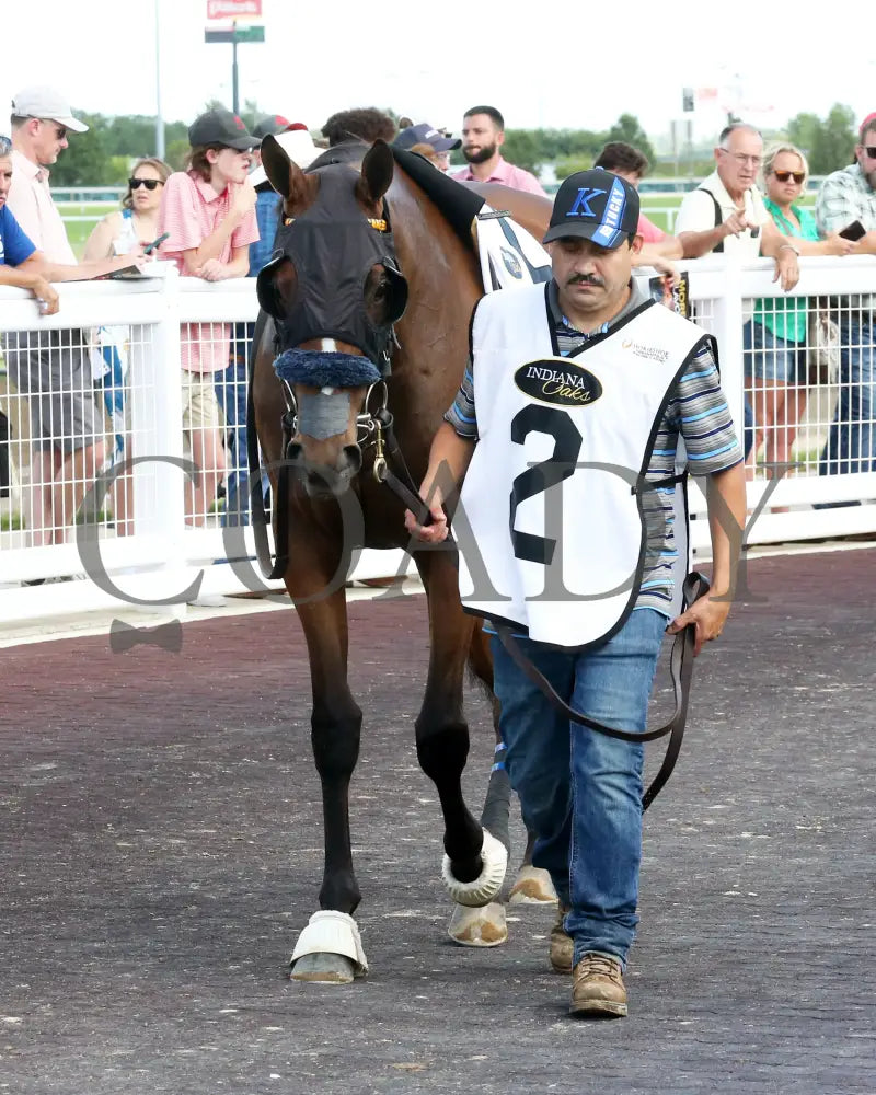 Chatalas - Indiana Oaks 29Th Running G3 07-06-24 R11 Horseshoe Paddock 01 Samantha Pagels Grand