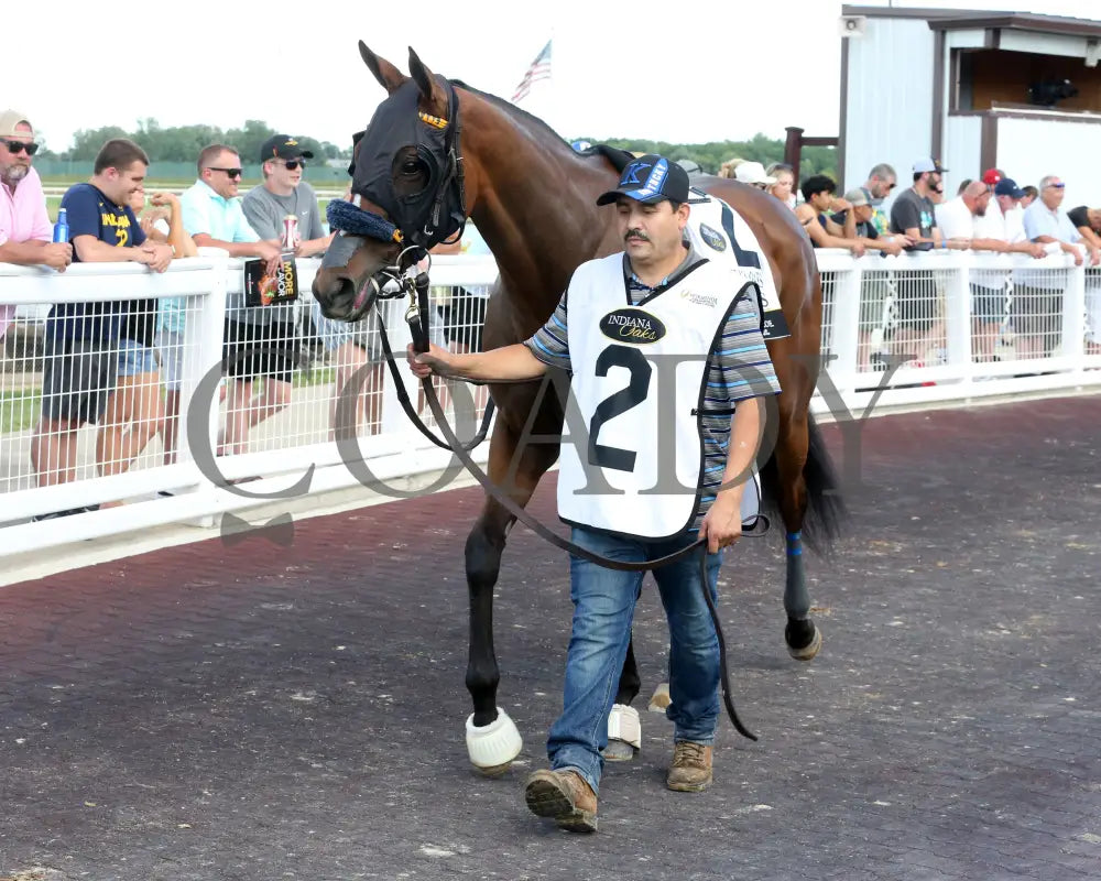 Chatalas - Indiana Oaks 29Th Running G3 07-06-24 R11 Horseshoe Paddock 05 Samantha Pagels Grand