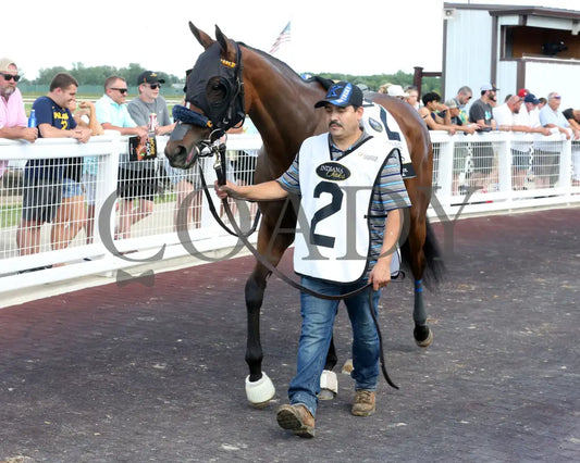 Chatalas - Indiana Oaks 29Th Running G3 07-06-24 R11 Horseshoe Paddock 05 Samantha Pagels Grand
