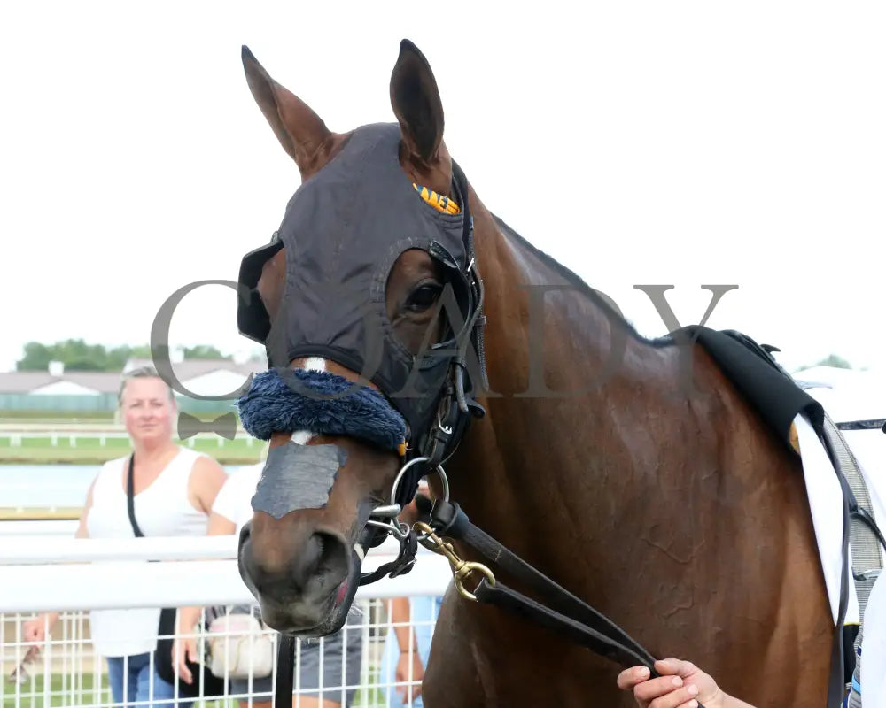 Chatalas - Indiana Oaks 29Th Running G3 07-06-24 R11 Horseshoe Paddock 06 Samantha Pagels Grand