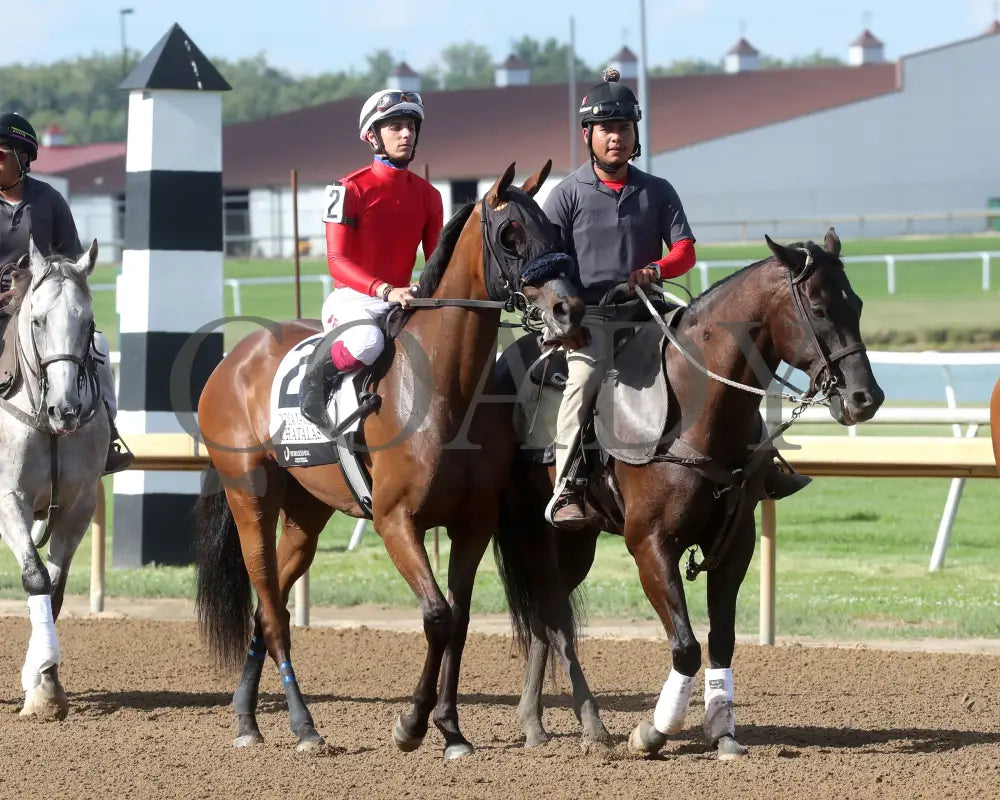 Chatalas - Indiana Oaks 29Th Running G3 07-06-24 R11 Horseshoe Post Parade 01 Renee Torbit Grand