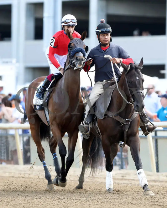 Chatalas - Indiana Oaks 29Th Running G3 07-06-24 R11 Horseshoe Post Parade 04 John Gallagher Grand